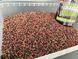 Метод мікс BigFishBait В наявності ліквід Shuher (squid В наявності scopex), 400 гр БФБмет03 фото 2