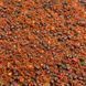 Стік-Мікс CrazyCarp Devil Squid (диявольський кальмар) 500g SMIXDS500 фото 2