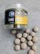 Cork Wafters Xtasi 16|18 mm Tiger Corn