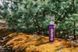 Термос TRAMP Expedition Line 1,2 л. purpleUTRC UTRC-028-purple фото 3