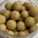 Бойли насадочні розчинні Crazy Carp Soluble Wafters The Nutz 12/15мм 2176659161 фото 2
